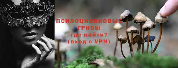 mdpv Козельск