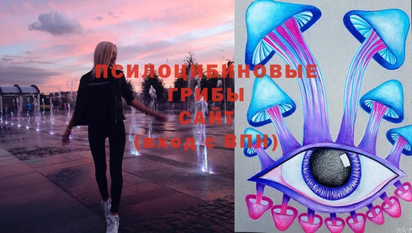 а пвп мука Кодинск
