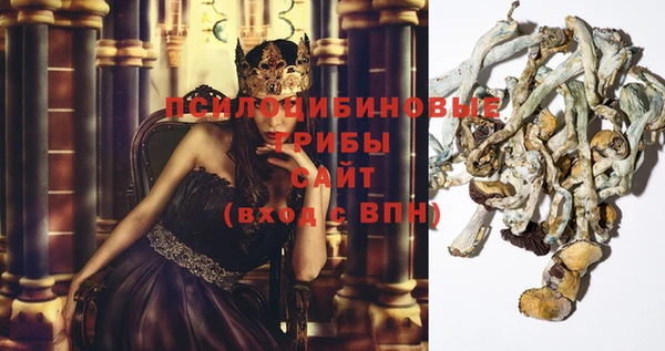 mix Снежинск