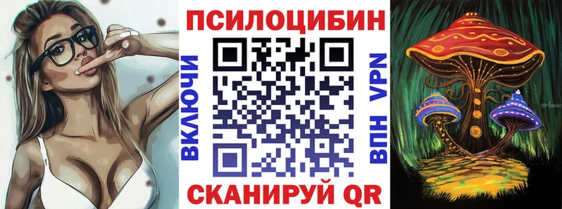 Галлюциногенные грибы Psilocybine cubensis  KRAKEN как зайти  Пойковский 